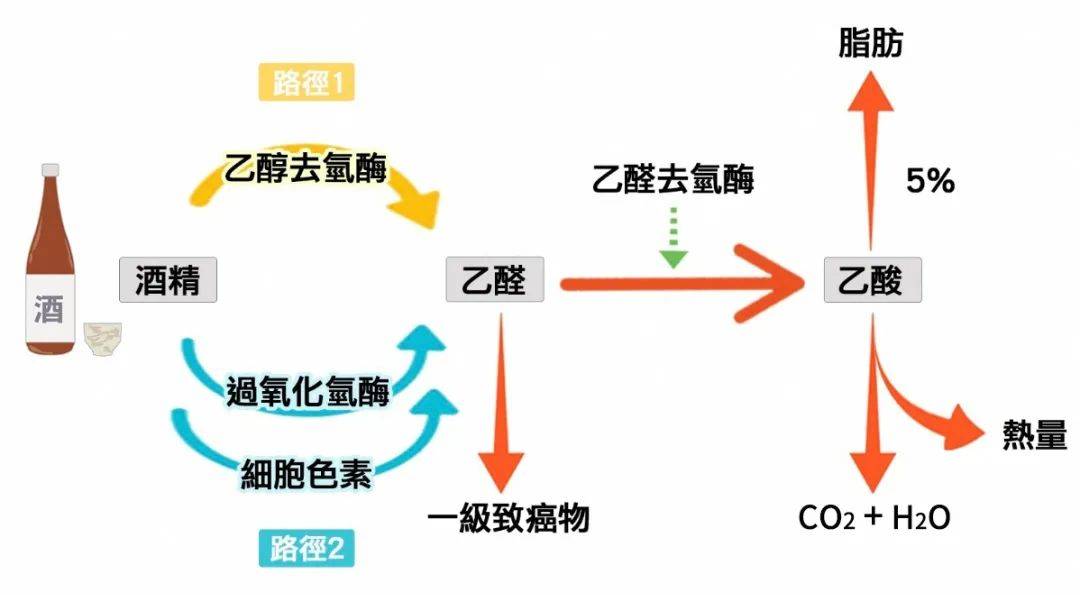 保肝护肝补硒什么硒好