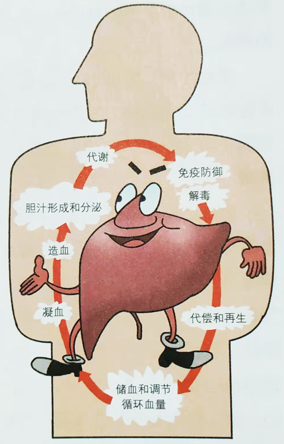 保肝护肝补硒什么硒好