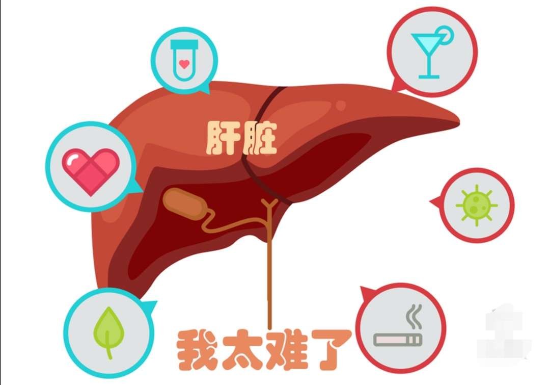 保肝护肝补硒什么硒好