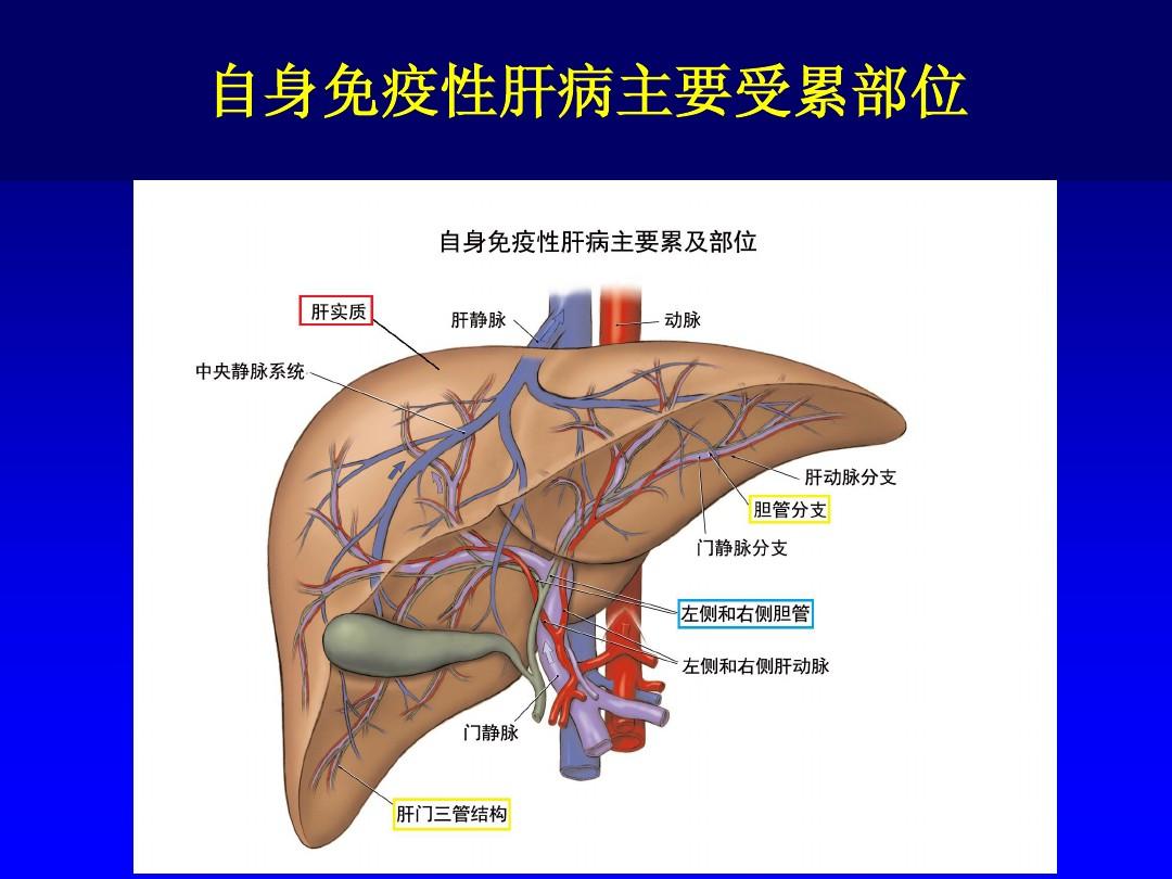 保肝护肝补硒什么硒好