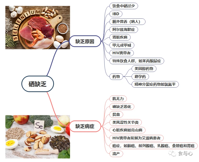 人缺少硒怎么样补硒快