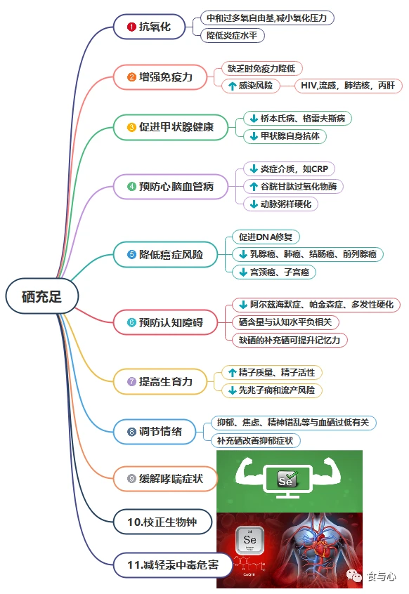 人缺少硒怎么样补硒快