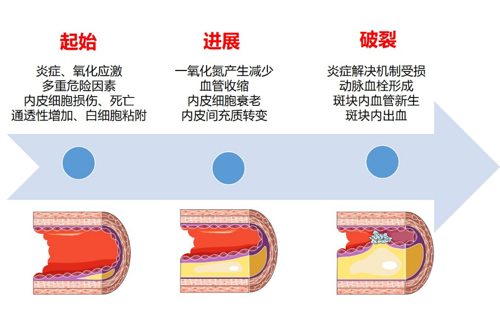 哪些药物可以补硒元素