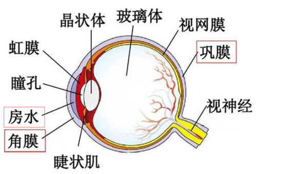 补麦芽硒抗癌成功案例