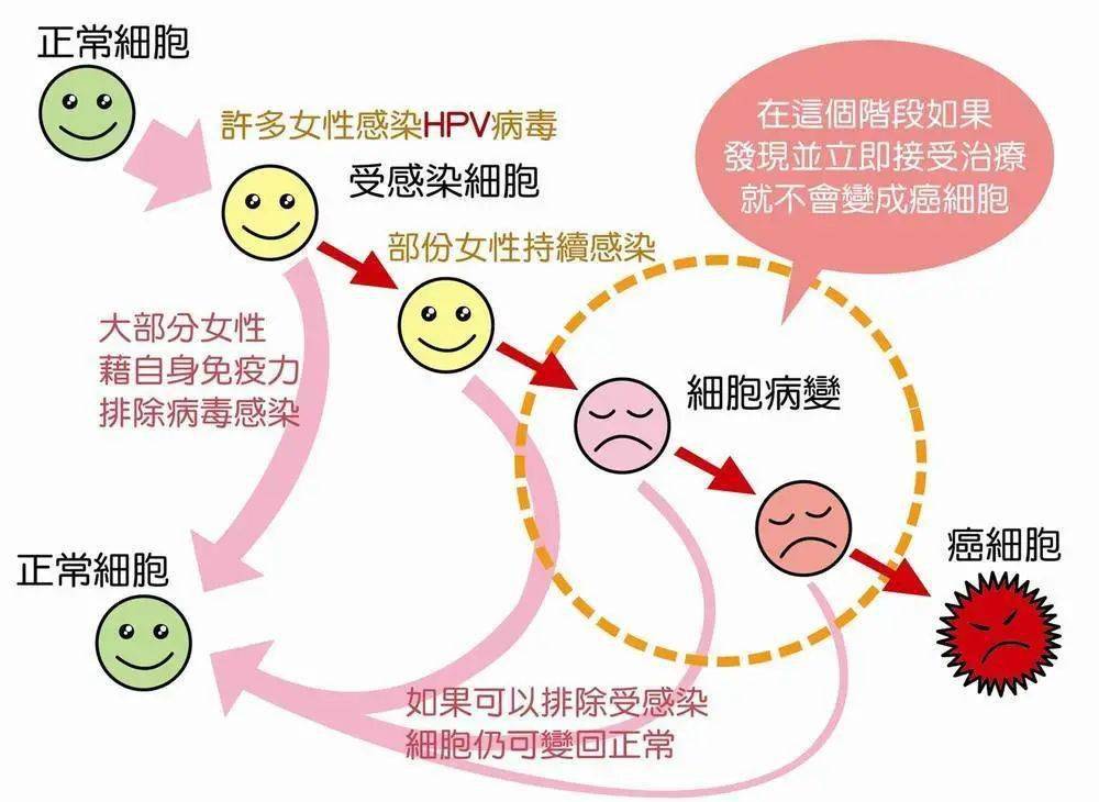 感染高危型hpv补硒