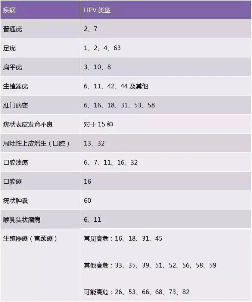 感染高危型hpv补硒