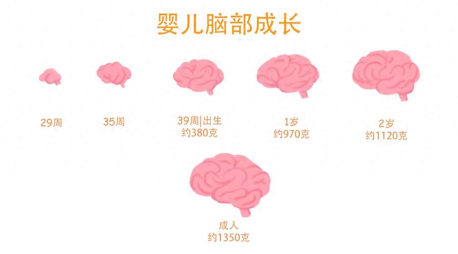 宝宝缺钙铁锌硒如何补