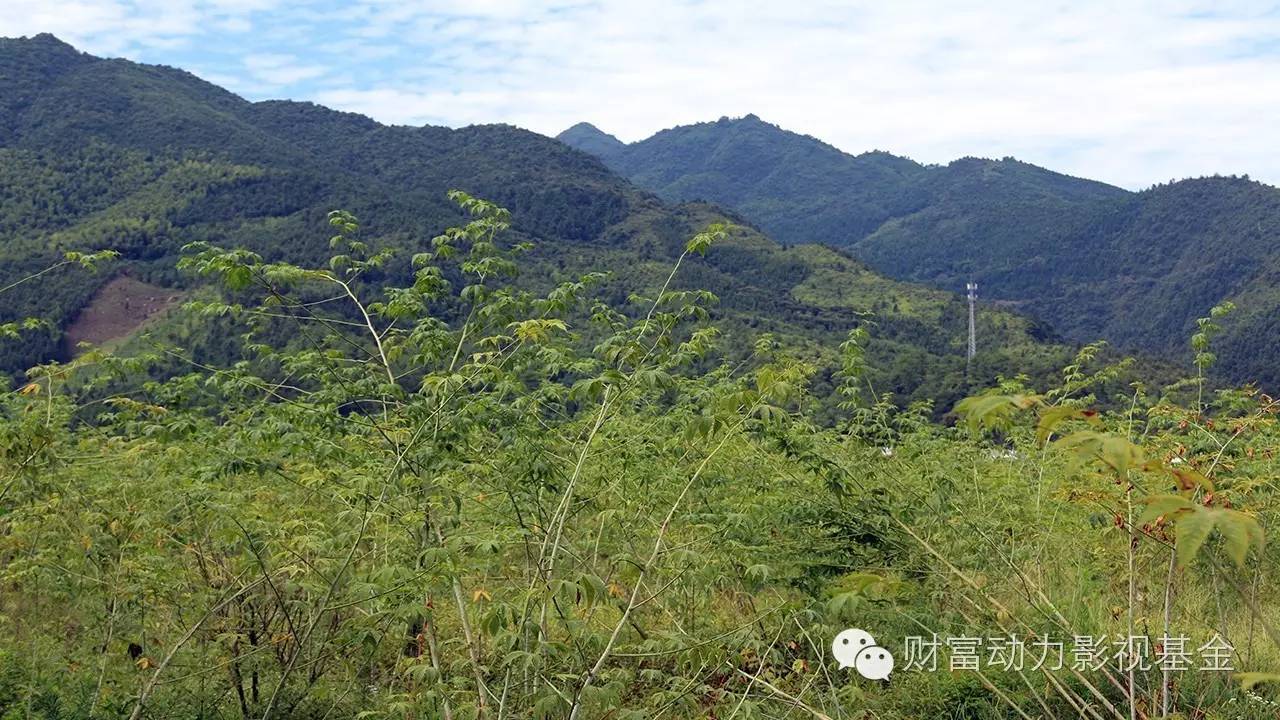 白癜风需要补硒的药物