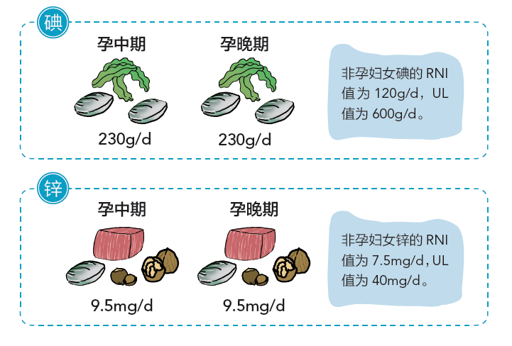 孕妇每天需要补多少硒