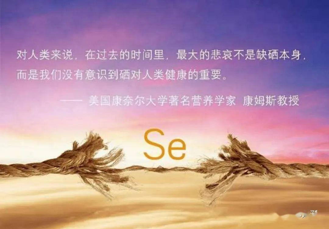 病人什么补硒最快最好