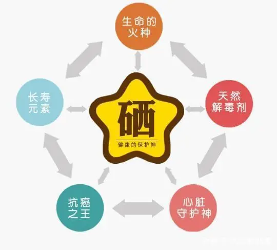 每天吃点什么可以补硒