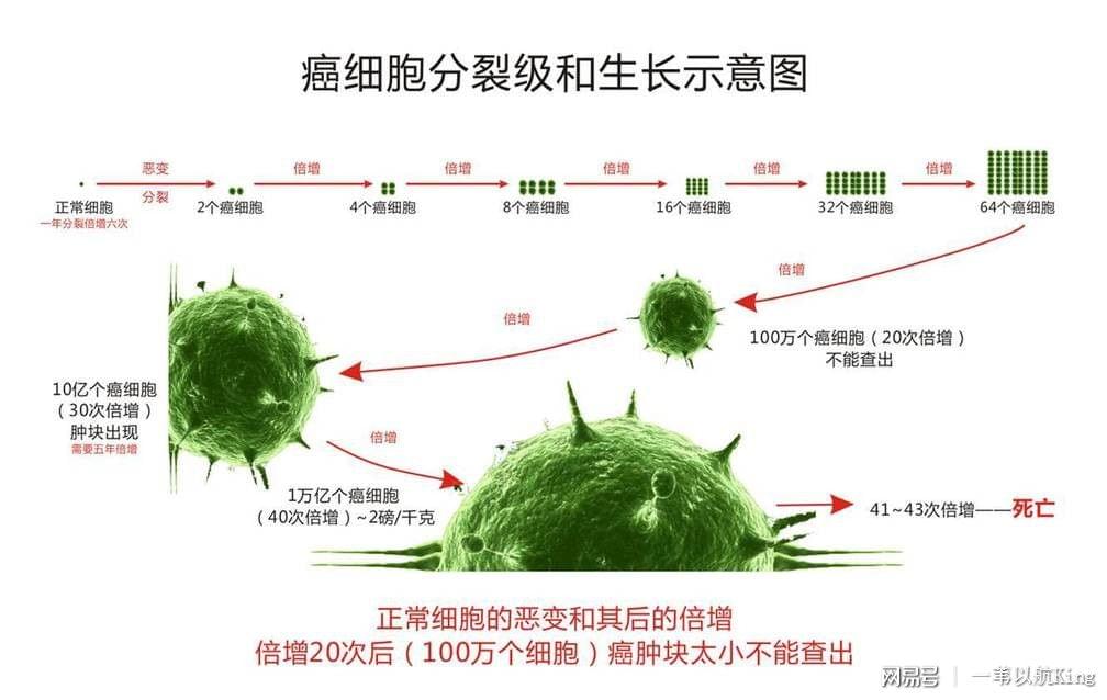 晚期癌症每天补多少硒