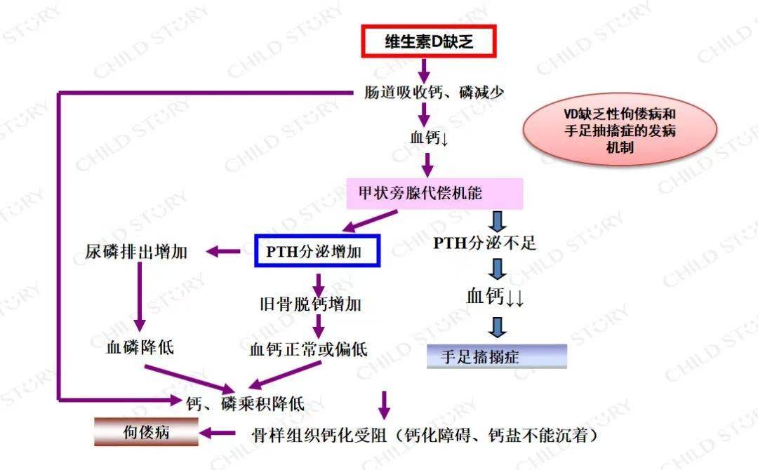 儿童需要补硒几岁开始