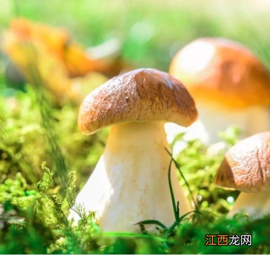 每天吃什么补硒 什么补硒最好用