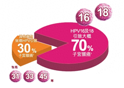 hpv高危为啥要补硒