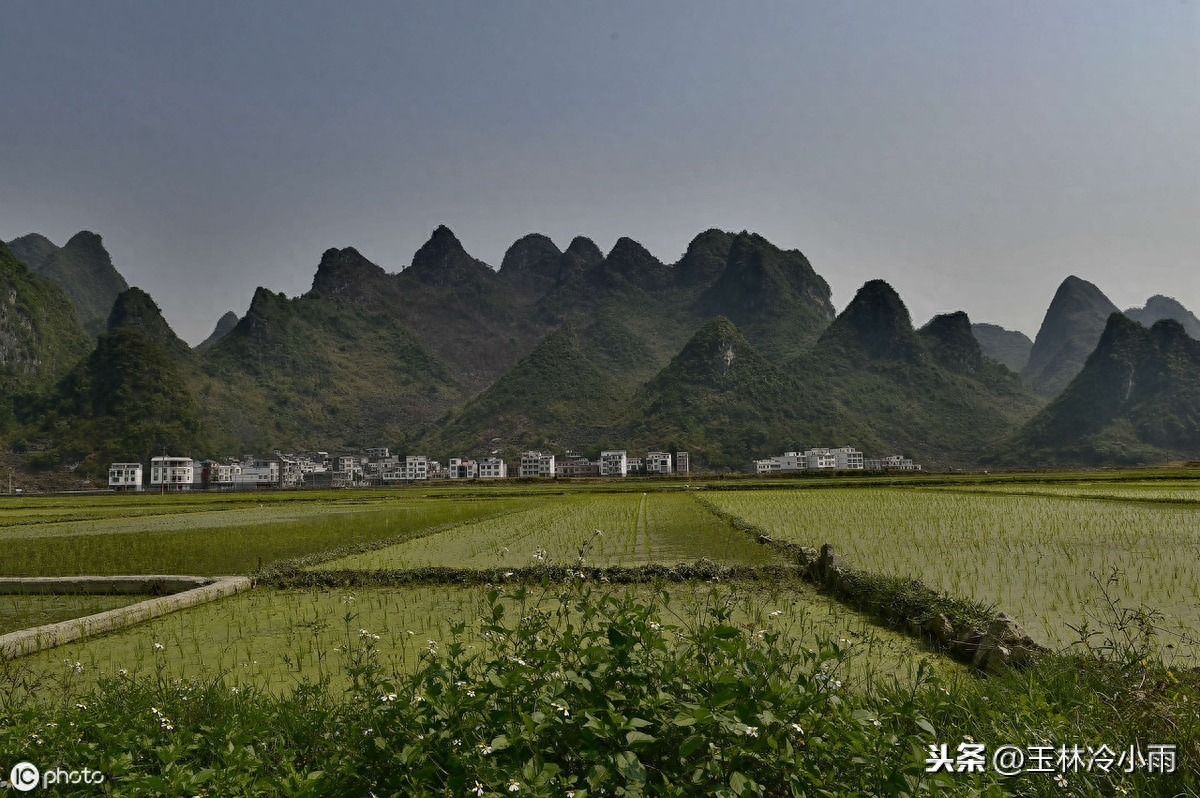 补硒食物推荐食谱大全