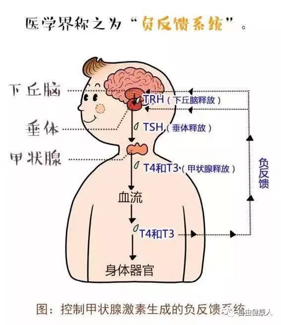 甲状腺补硒有什么好处