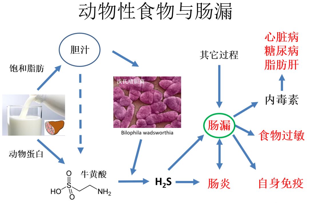 补硒过多对甲状腺结节