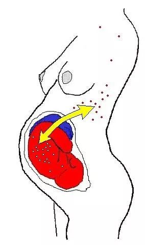 补硒过多对甲状腺结节