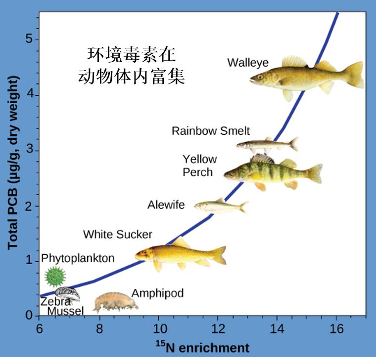 补硒过多对甲状腺结节