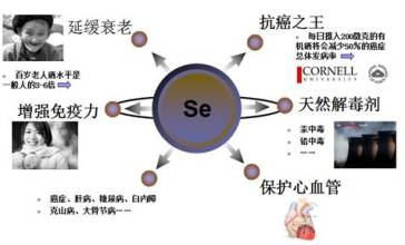 怎样正确补硒推荐食品