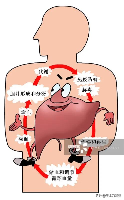 甲状腺癌每日补硒多少