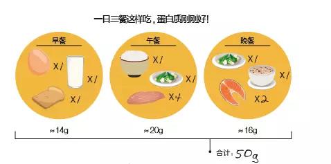 补硒能促进营养吸收吗