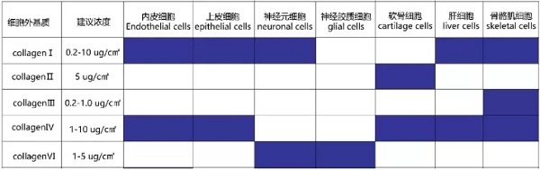 补硒可以提高白细胞么