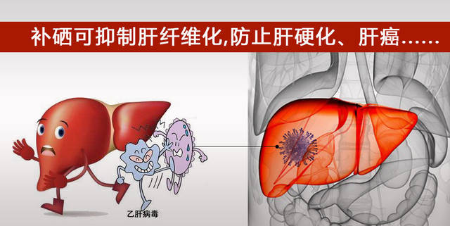 补硒对乙肝有什么效果