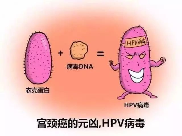 补硒能抗hpv感染吗