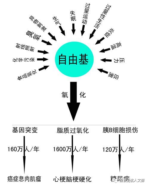 如何给蔬菜里补硒元素