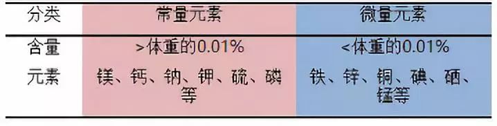 宝宝怎样补锰和硒最好