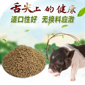 小猪补硒过敏怎么治疗