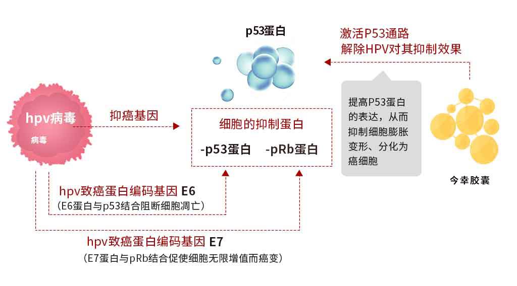 养螃蟹怎样补硒呢谢谢