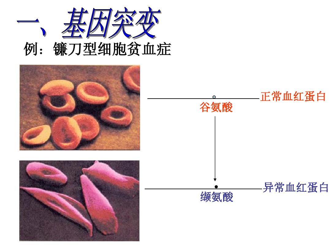 养螃蟹怎样补硒呢谢谢