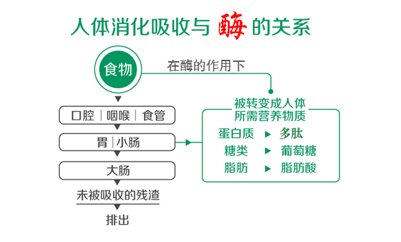 补硒工程是那年开始的