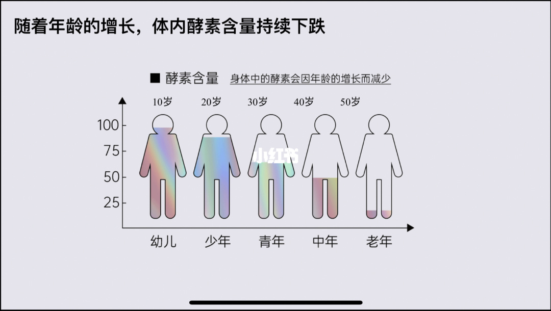 补硒工程是那年开始的