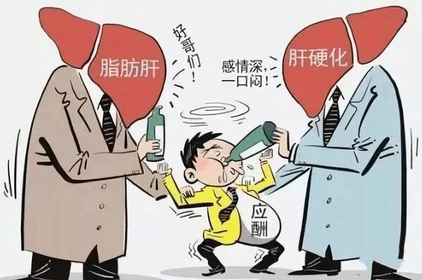 补硒会加重肝脏负担吗