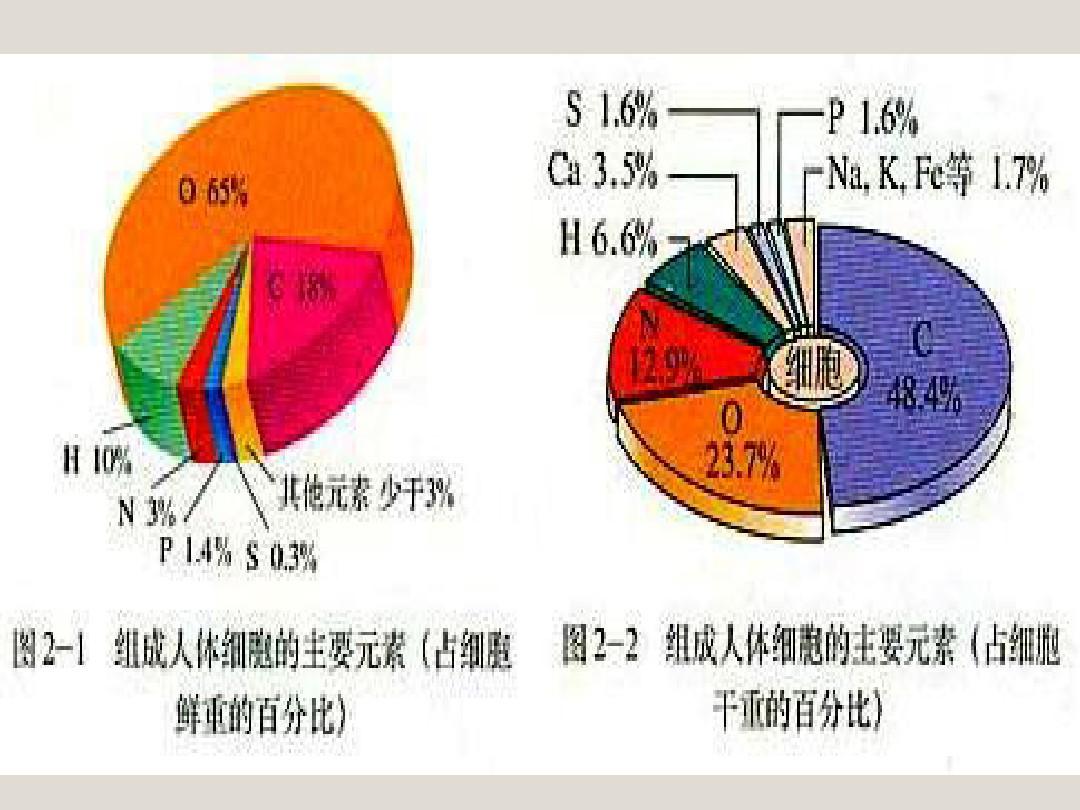 女性补硒食物有哪些呢