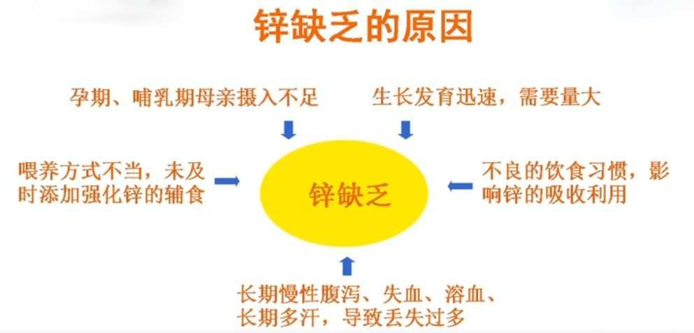 补硒会加重肾脏负担吗