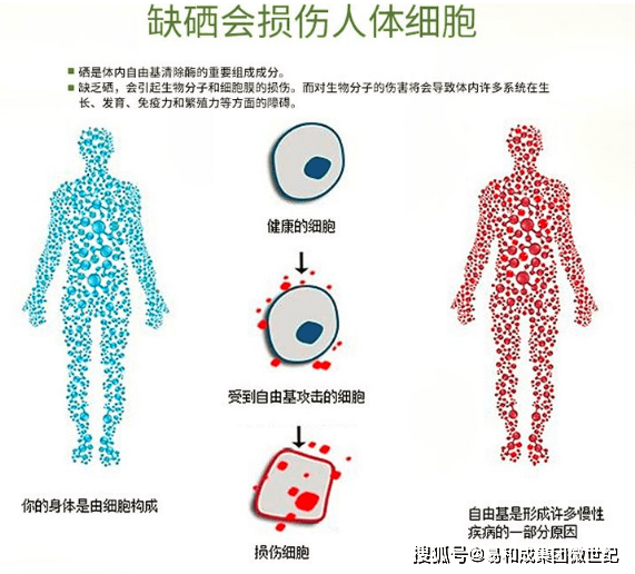 胃癌患者补硒有作用吗