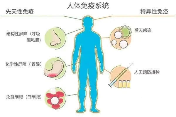 冠状病毒肺炎可否补硒