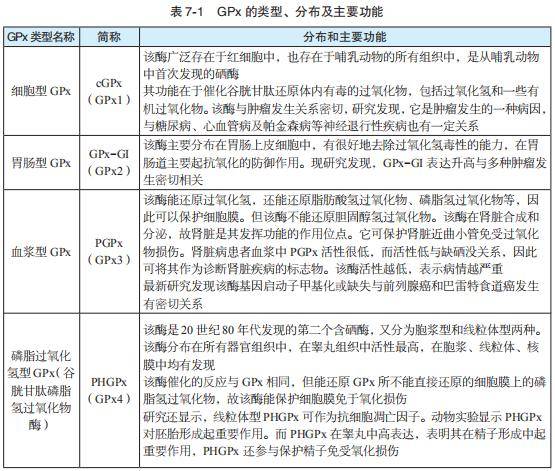 补硒能提高嘌呤代谢吗