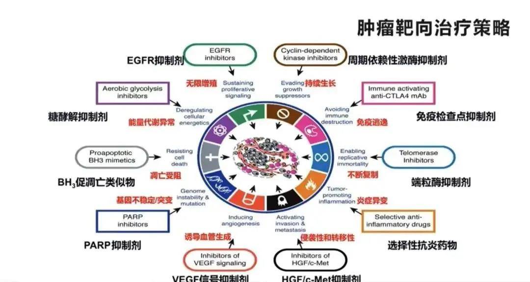 补硒对化疗药物有影响