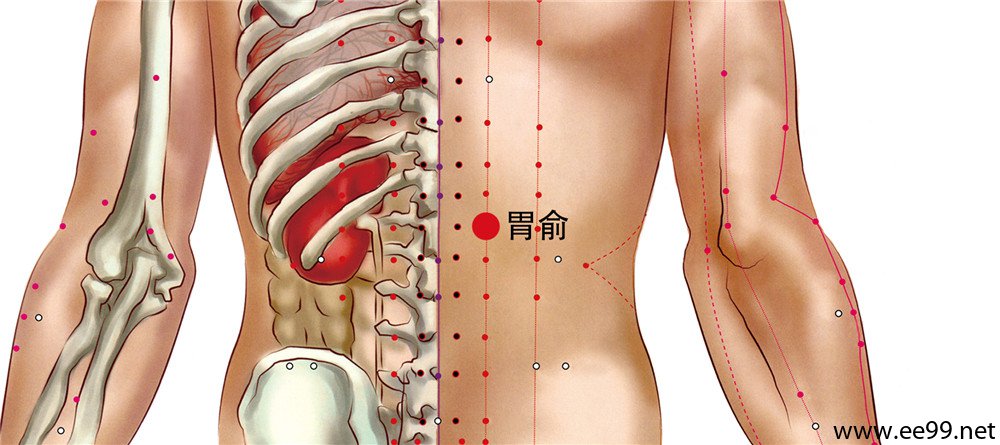 补硒可以治肠胃不好吗