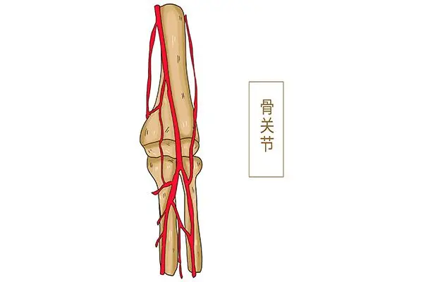 骨质疏松可以补硒吗吗