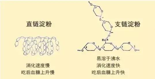 文章图片5