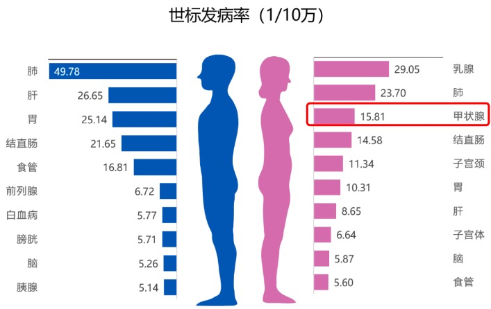 甲状腺疾病一定要补硒