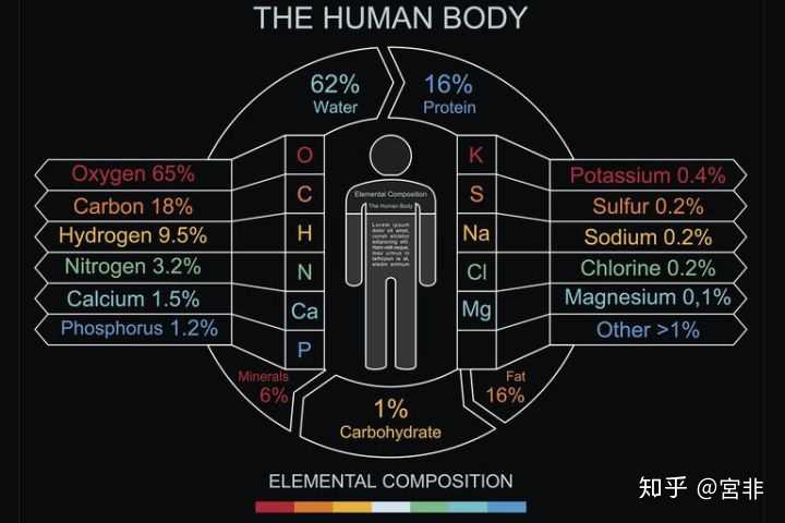 人身体需要天天补硒吗