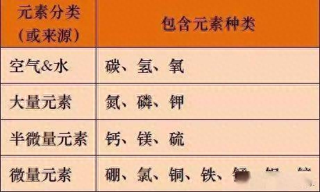 重症肝炎没什么硒补好